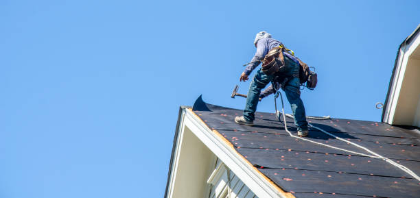 Residential Roof Replacement in Newton, AL